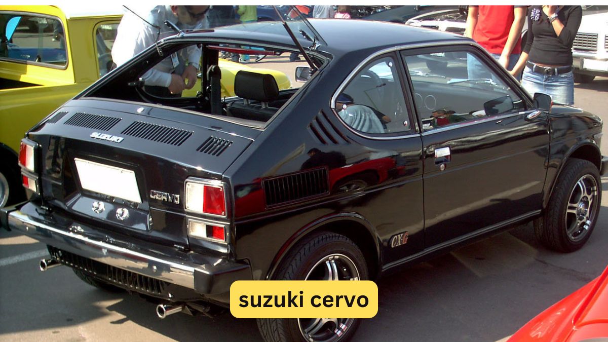 suzuki cervo