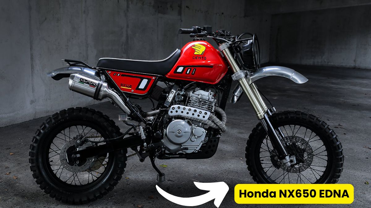 Honda NX650 EDNA