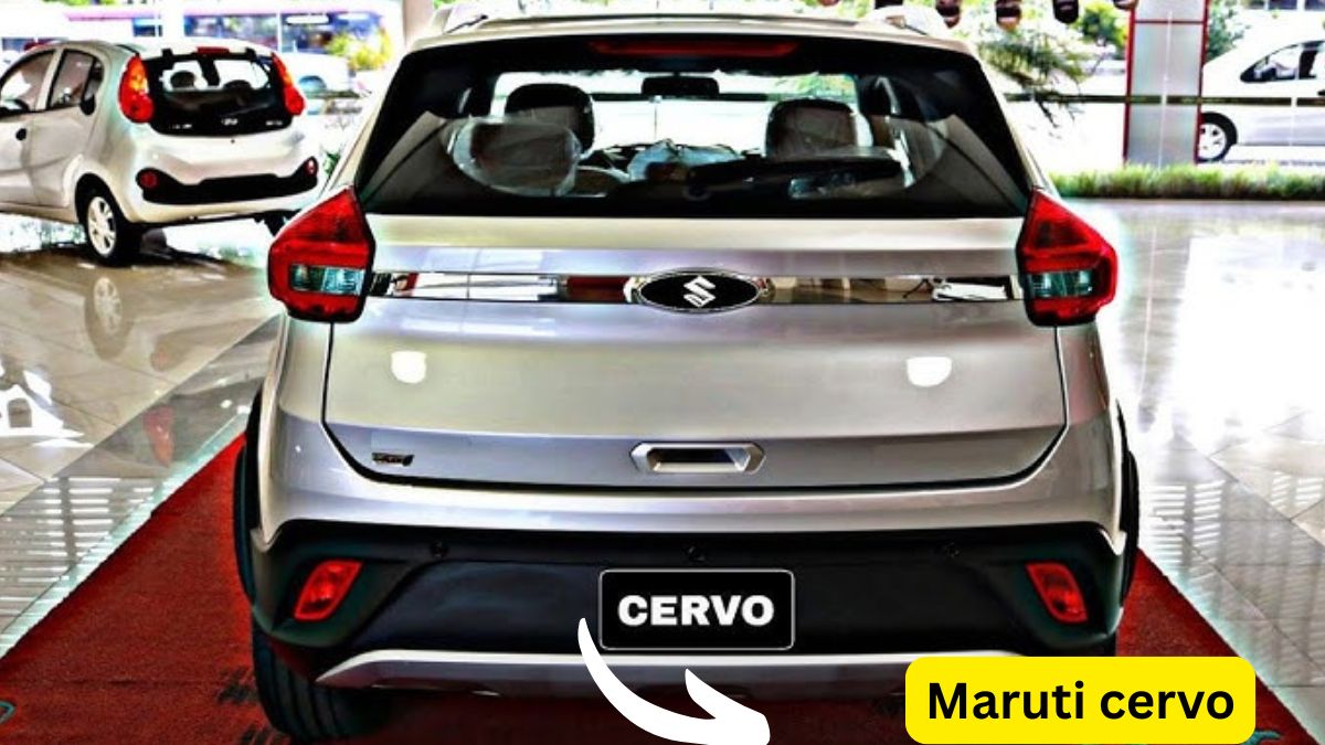 Maruti cervo